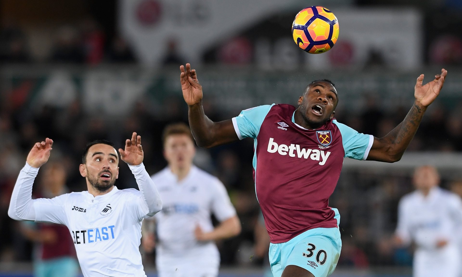 谢什科只想 谢什科只想